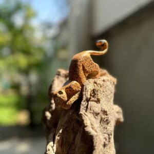 Sri lankan Leopard Wooden Toy